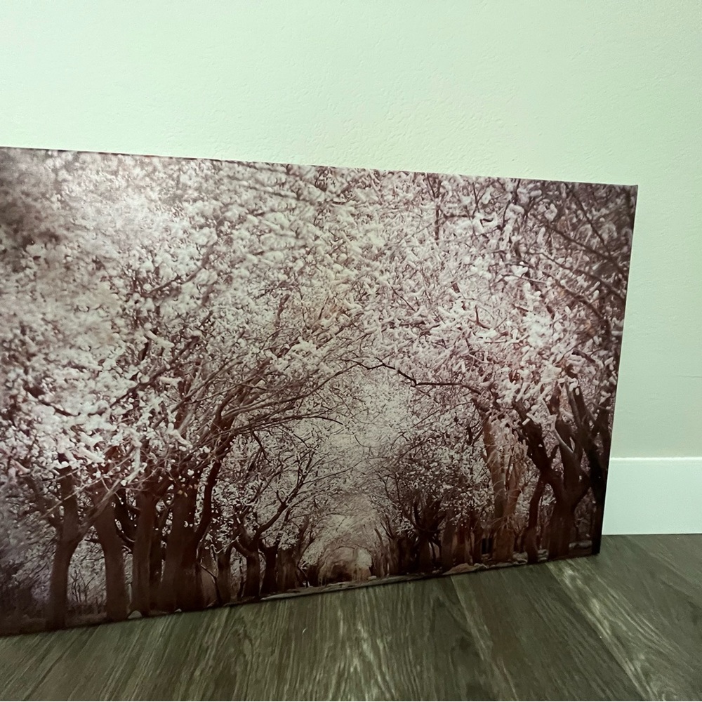 Japanese cherry blossom portrait